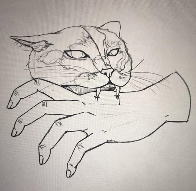 Rough sketch